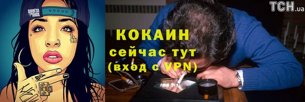индика Гусь-Хрустальный
