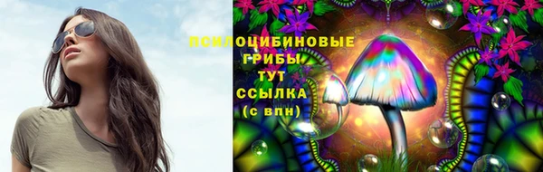 дурь Гусиноозёрск