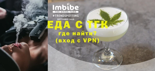 индика Гусь-Хрустальный