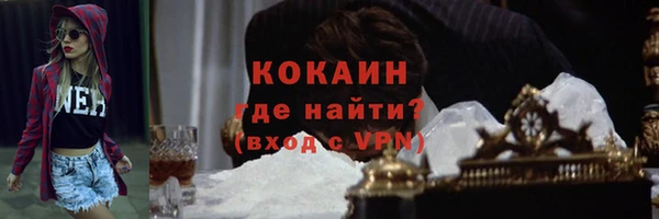 мет Дмитров