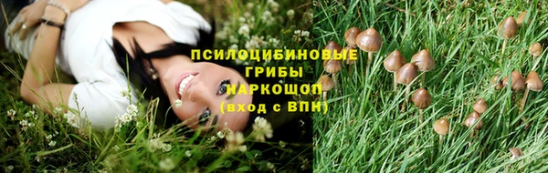 индика Гусь-Хрустальный