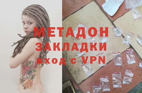 индика Гусь-Хрустальный