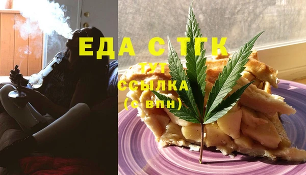 индика Гусь-Хрустальный
