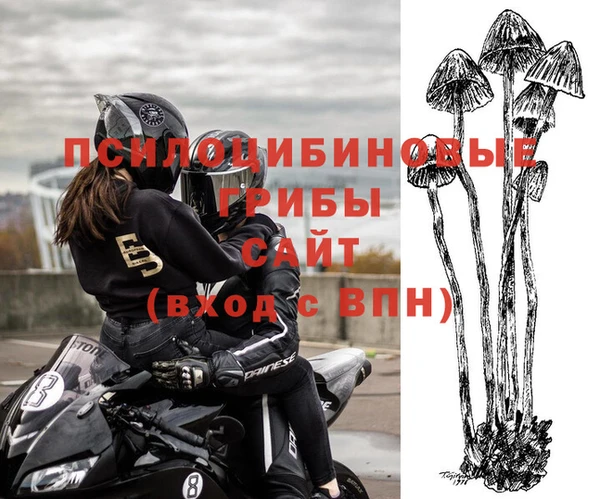 дурь Гусиноозёрск