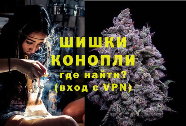 мет Дмитров