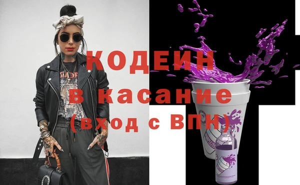 индика Гусь-Хрустальный