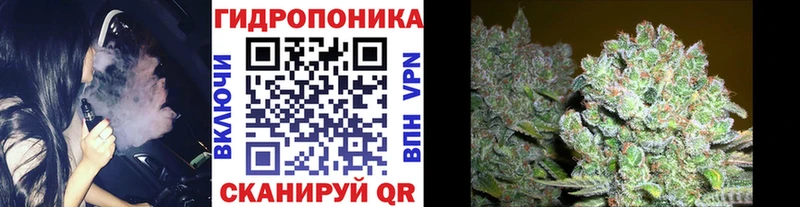 Шишки марихуана сатива  Купить где  Хадыженск 